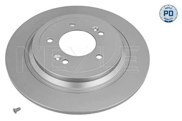 Jeu de 2 disques de frein