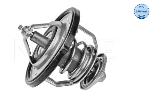 Thermostat d'eau