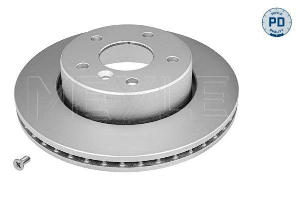 Jeu de 2 disques de frein