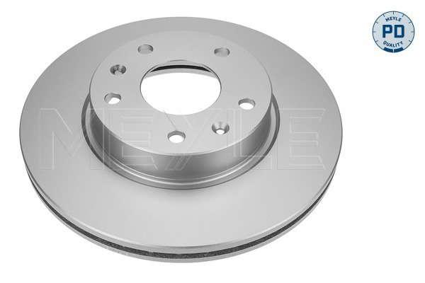 Jeu de 2 disques de frein