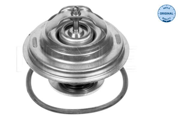 Thermostat d'eau