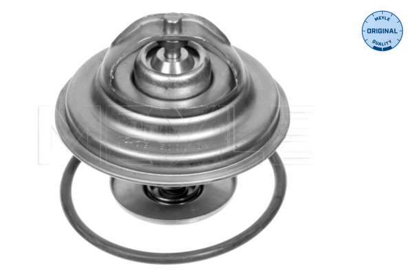 Thermostat d'eau