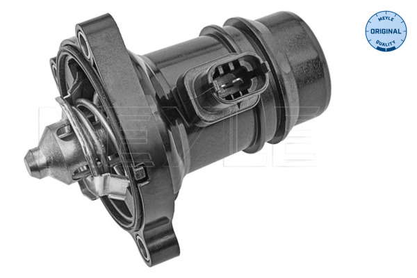 Thermostat d'eau