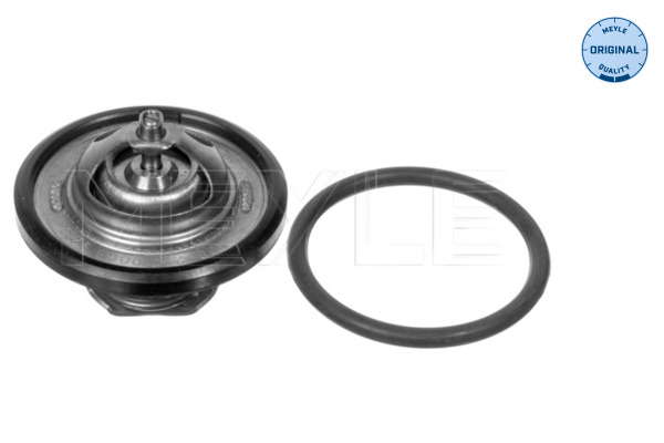 Thermostat d'eau