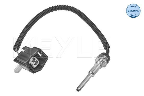 Sonde de température