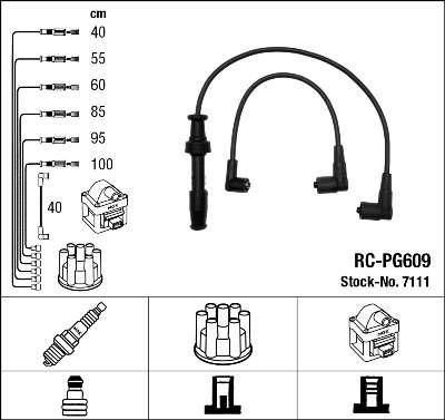 FAISCEAU HT / RC-PG609