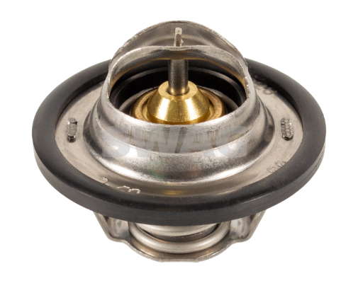 Thermostat d'eau