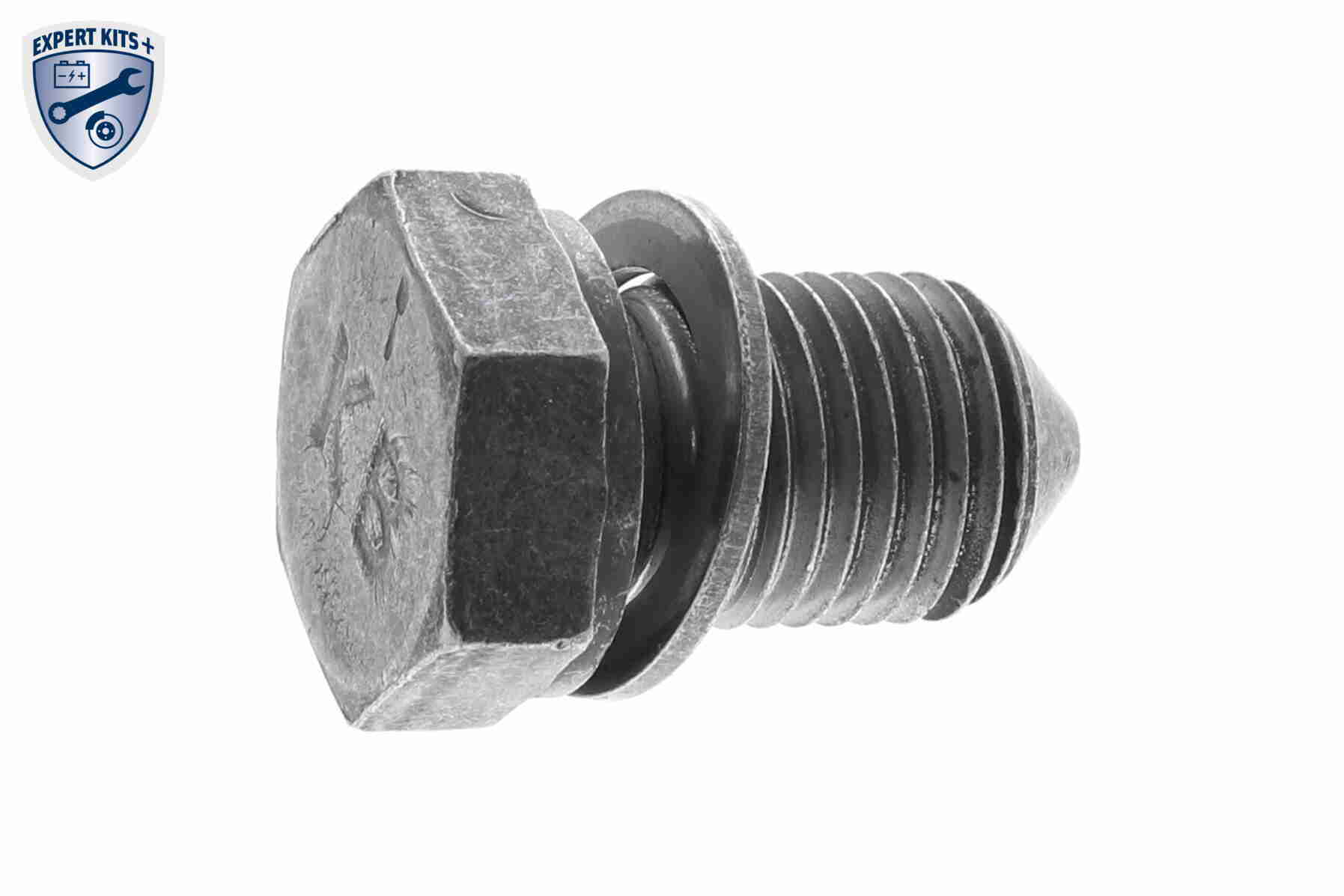 V10-0885_02