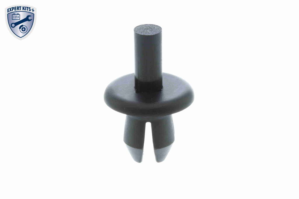 RIVET A EXPANSION