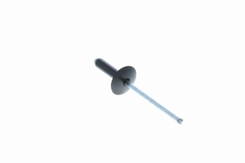 RIVET A EXPANSION