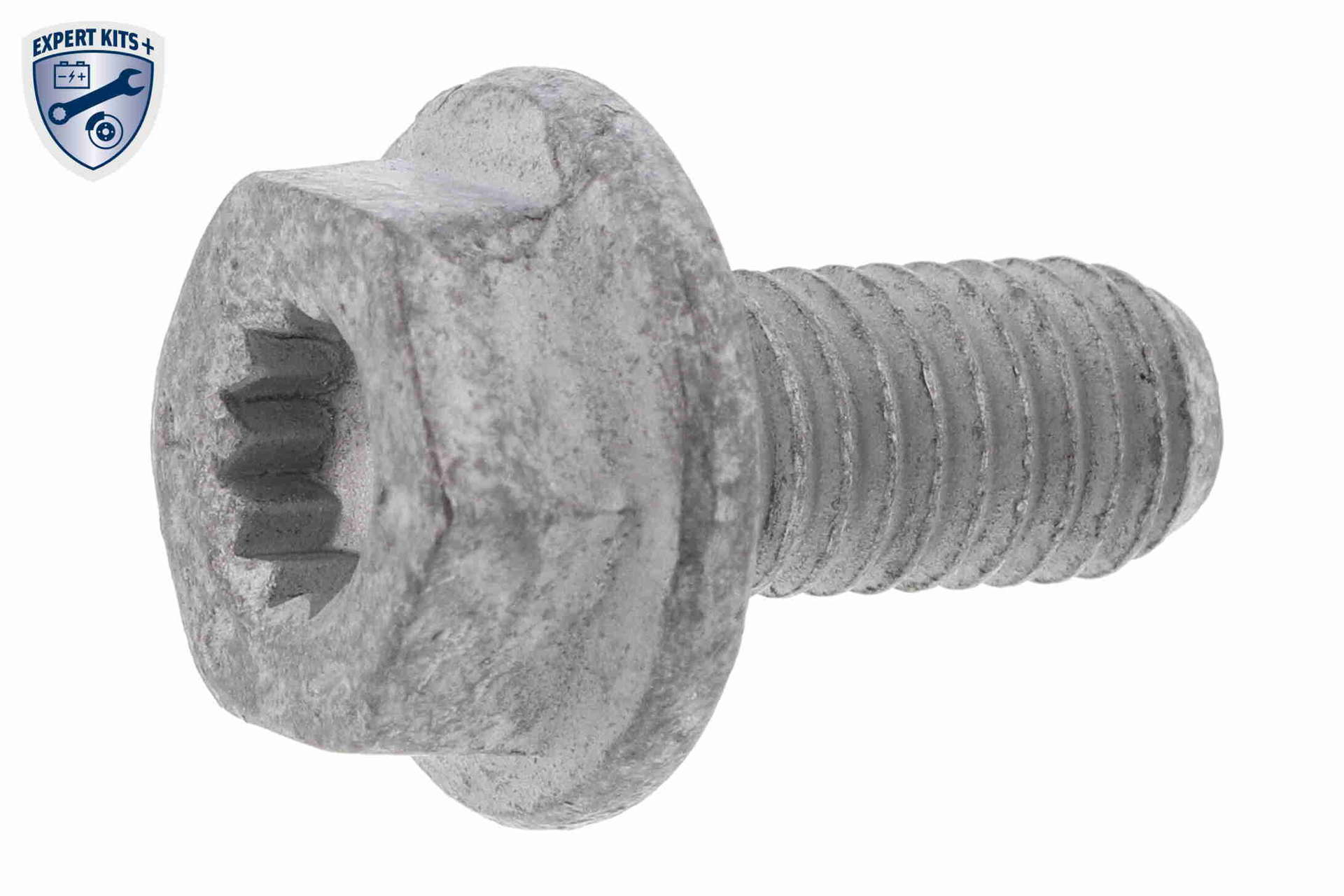 V10-3300_02