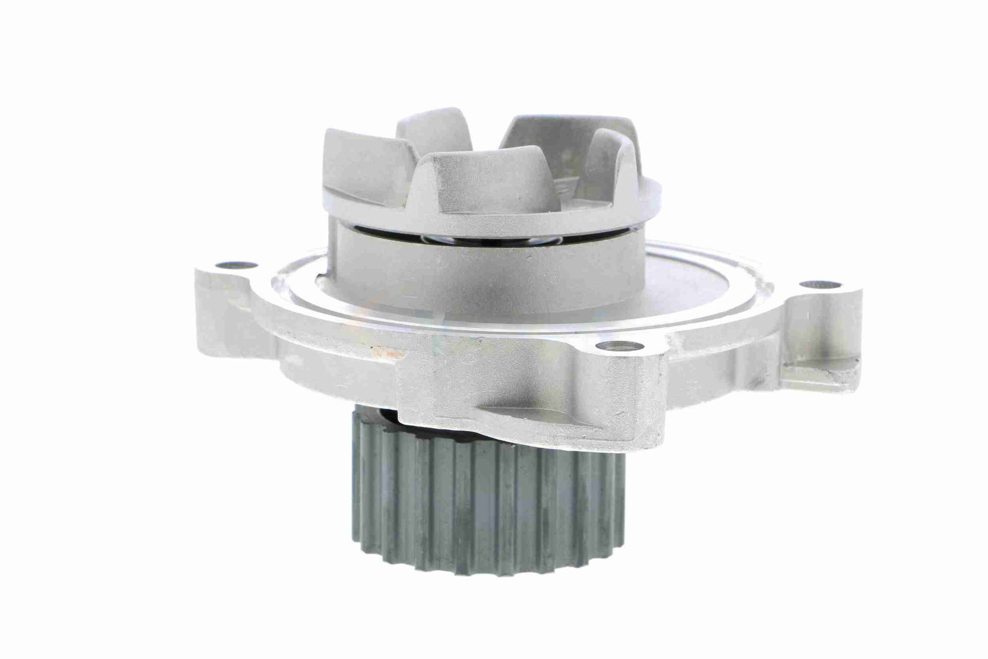 V10-50041_61