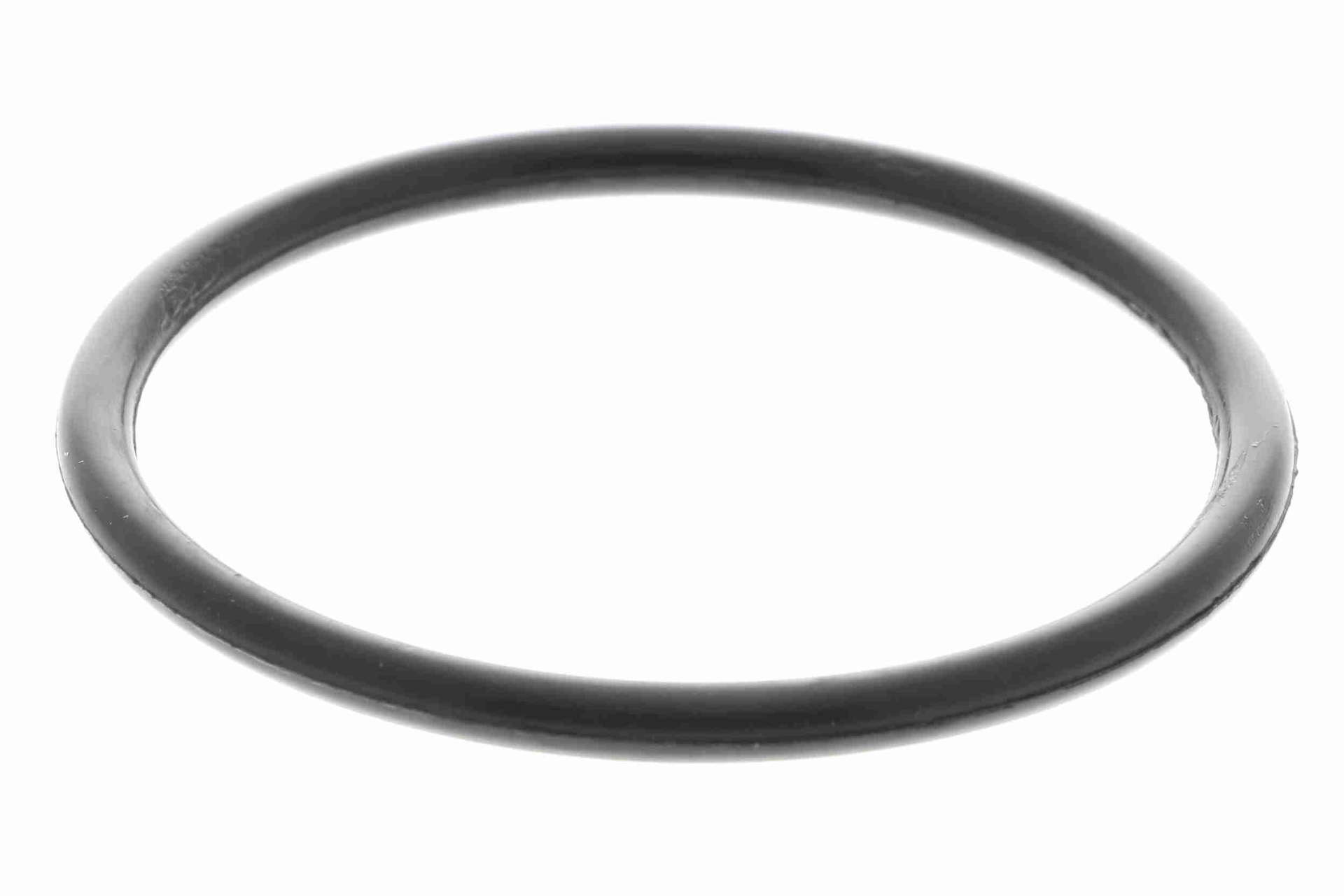 V10-50073-1_04