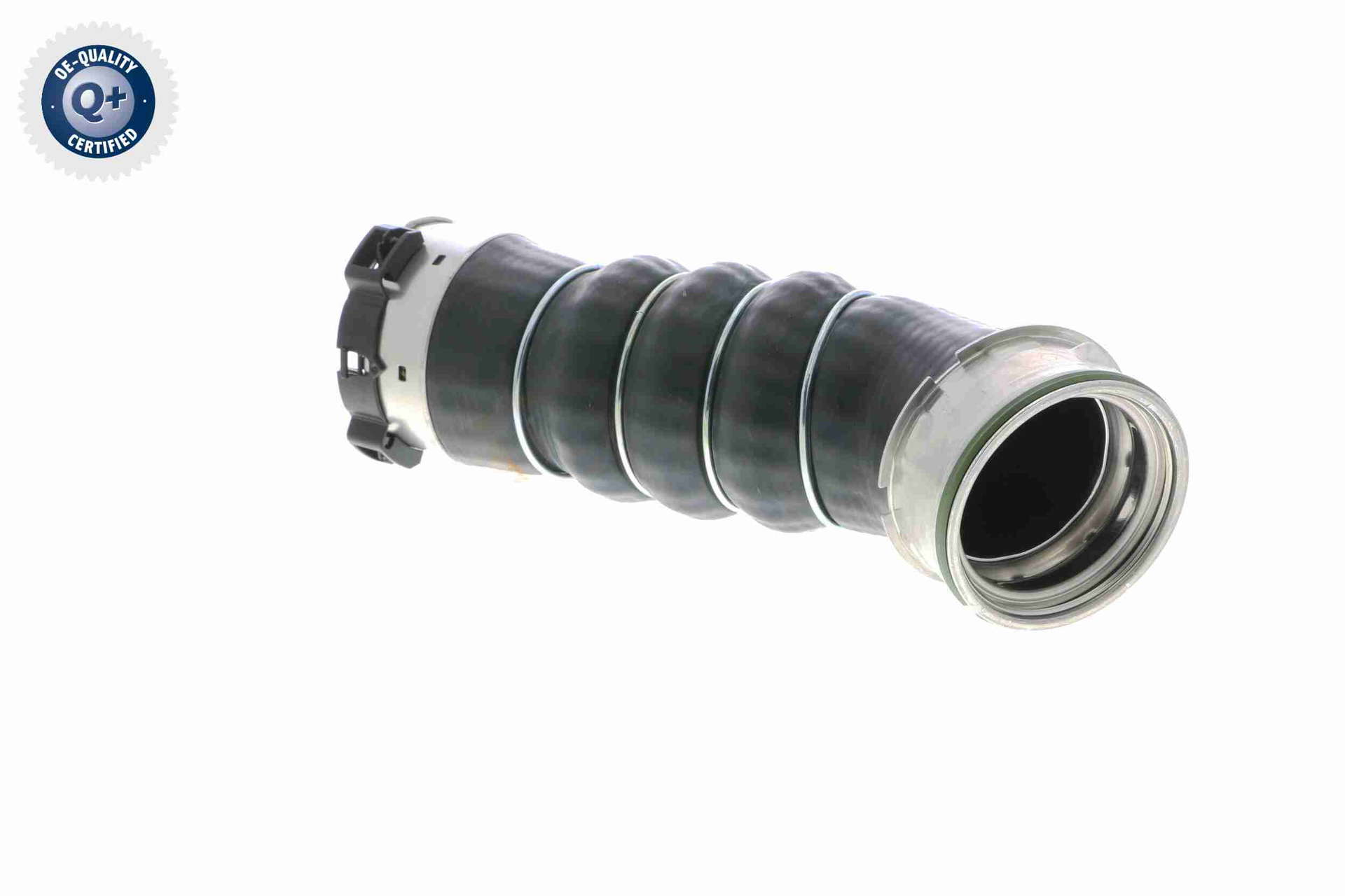 V20-2721_61