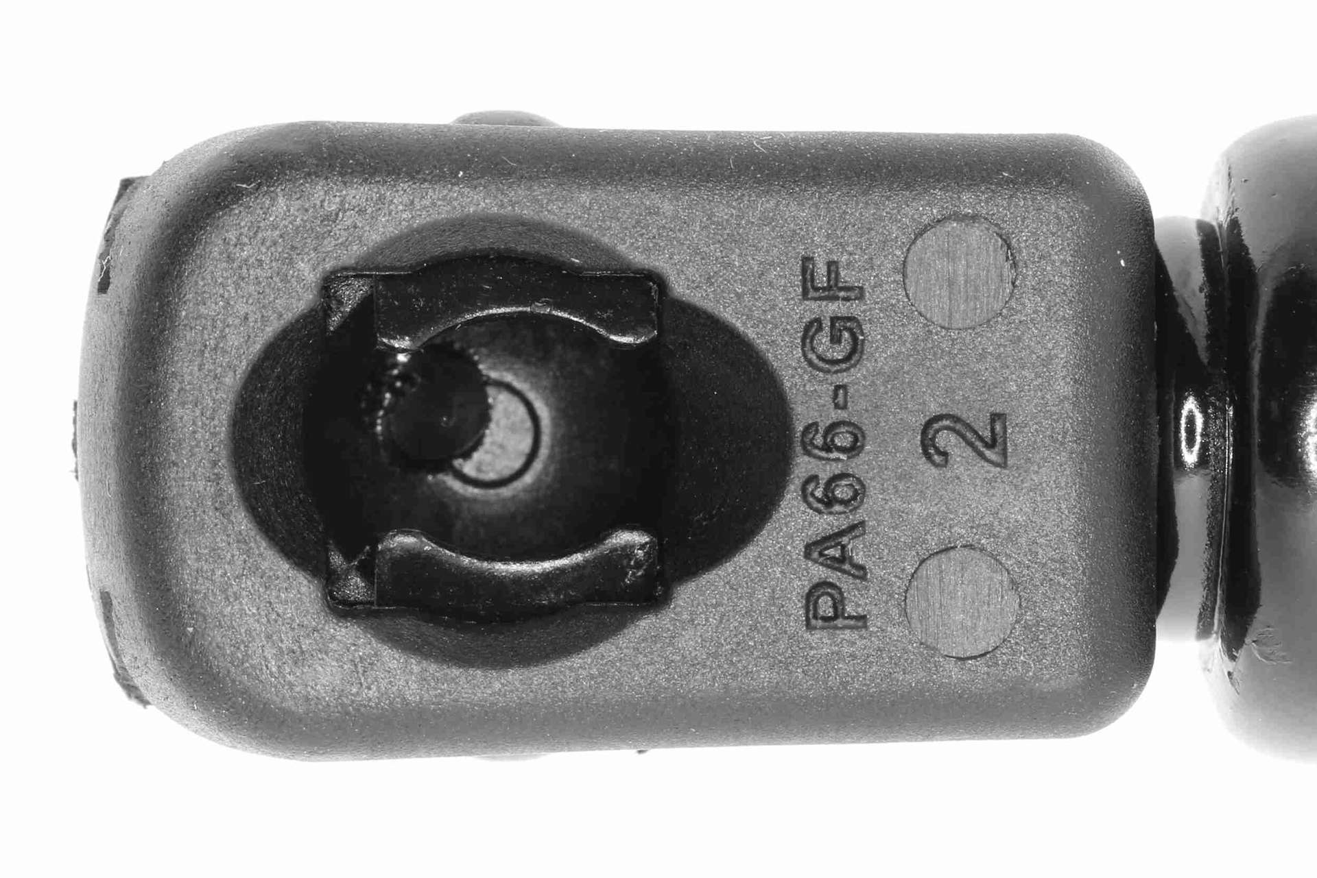 V24-0213_03