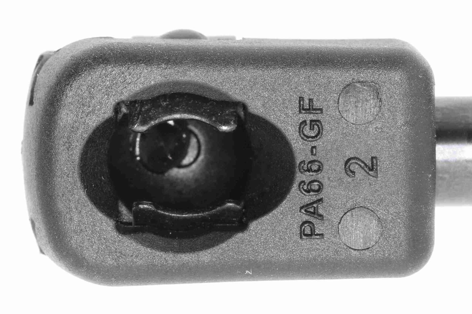 V24-0213_04