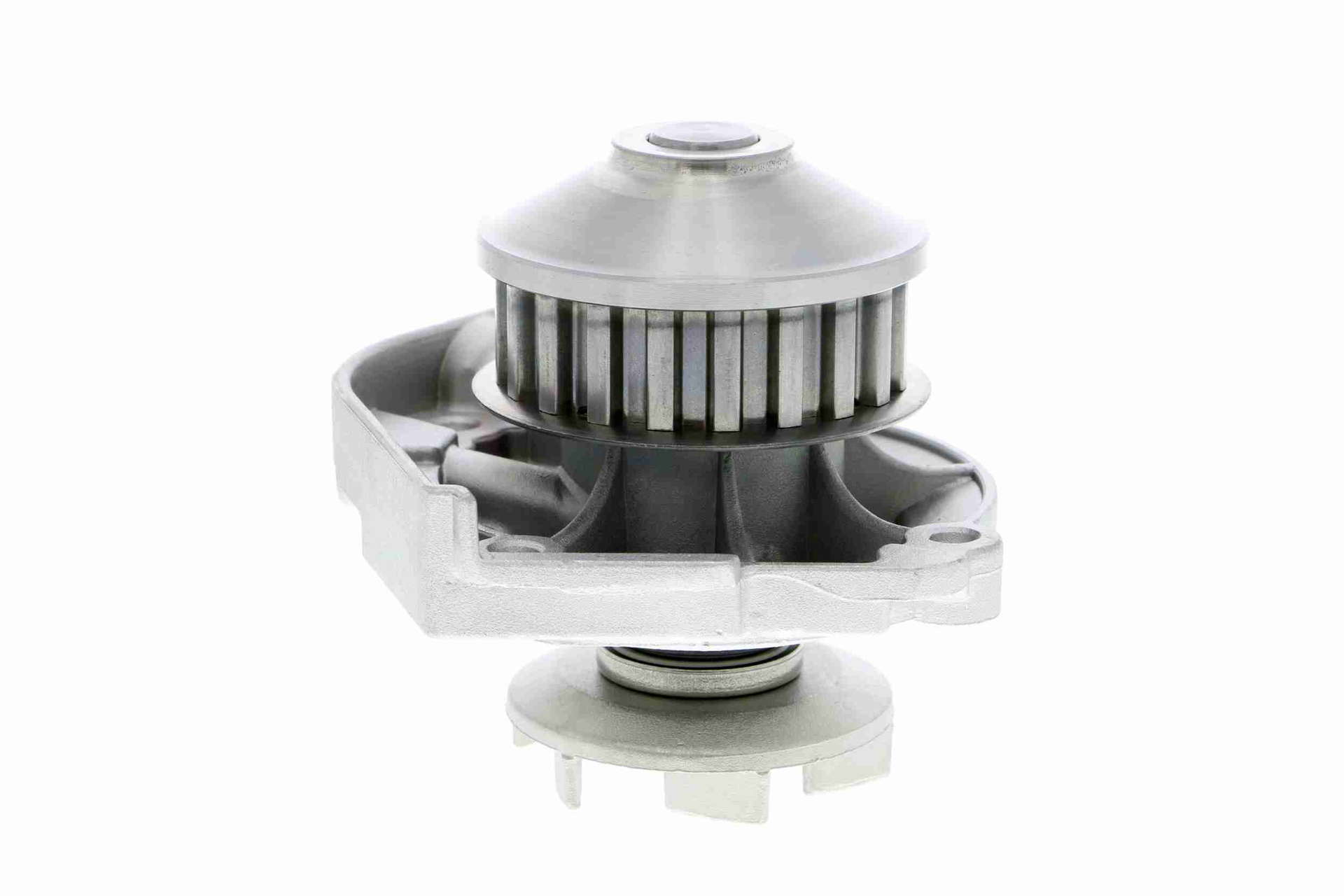V24-50001_66