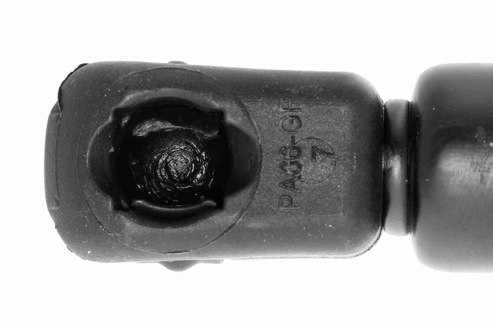 V25-0230_03