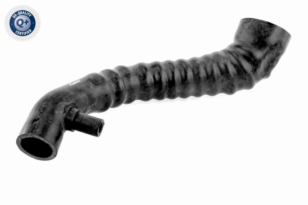 GAINE DE SURALIMENTATION