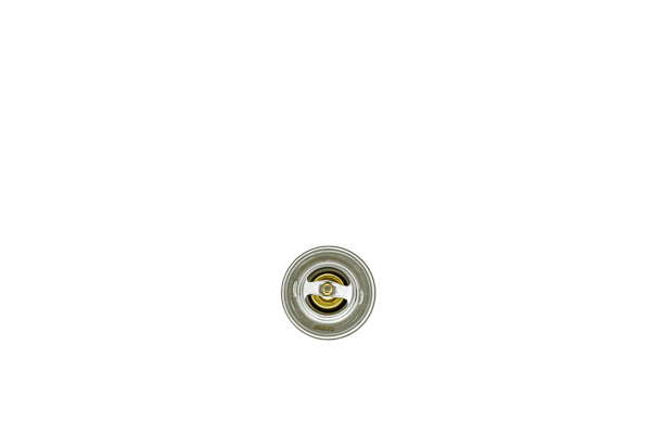 Thermostat d'eau