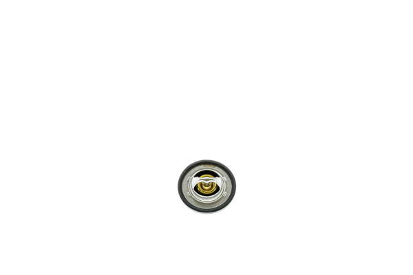 Thermostat d'eau