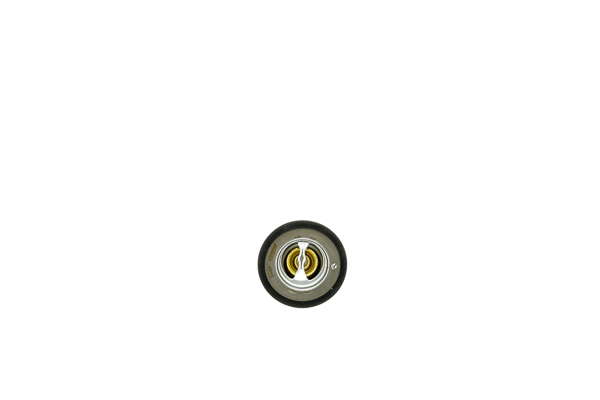 Thermostat d'eau