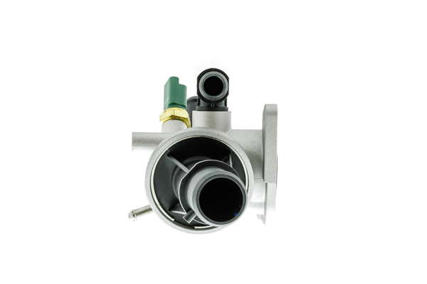 Thermostat d'eau