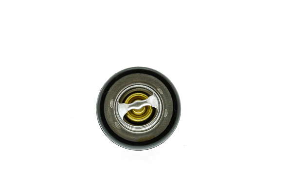 Thermostat d'eau