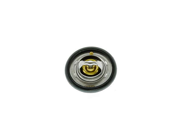 Thermostat d'eau