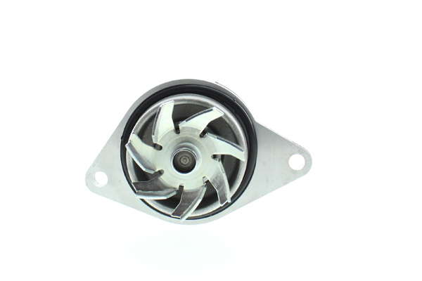 WE-VW06 03