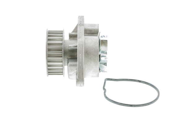 WE-VW08 04