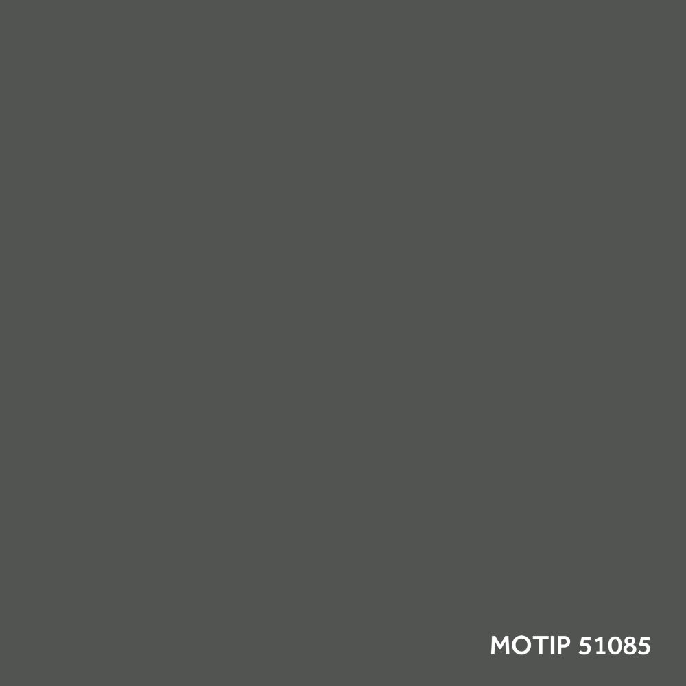 ccp_motip_51085