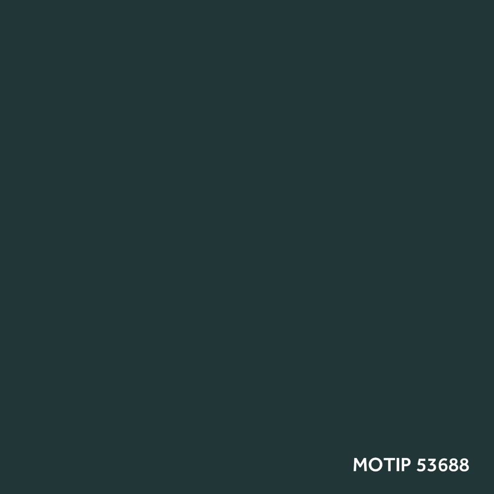 ccp_motip_53688