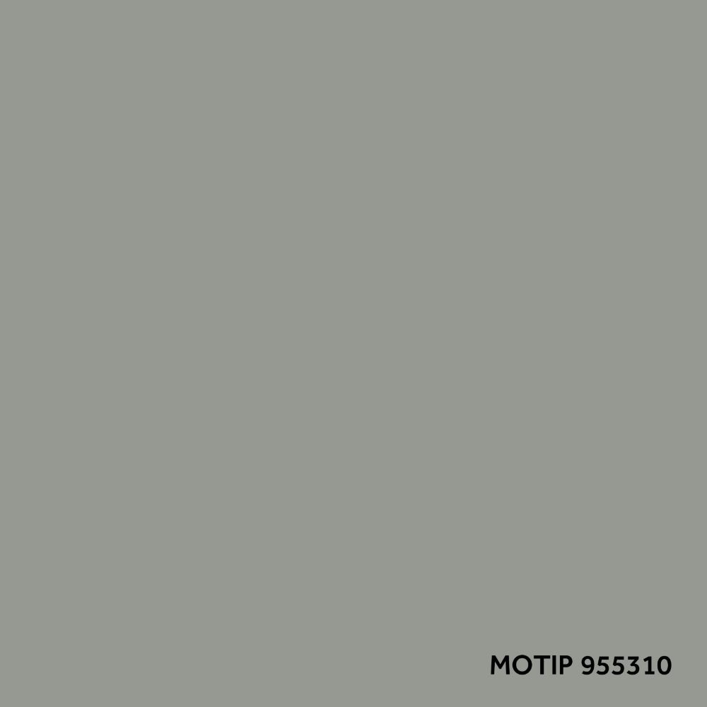 ccp_motip_955310
