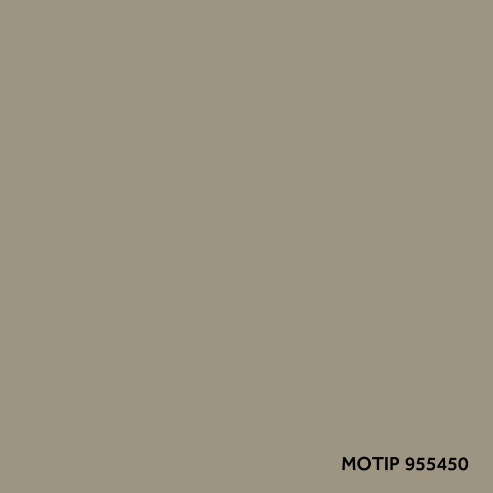ccp_motip_955450