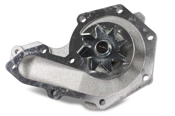 P054 (2)