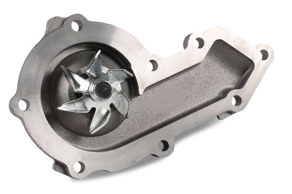 P1032 (2)