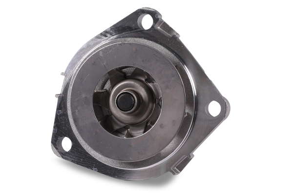 P1089 (2)
