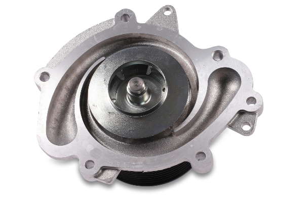 P1522 (2)