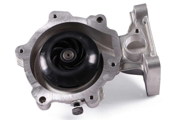 P247 (2)