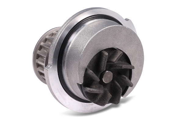 P312 (2)