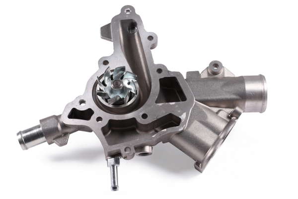 P334 (2)