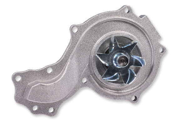 P512 (2)