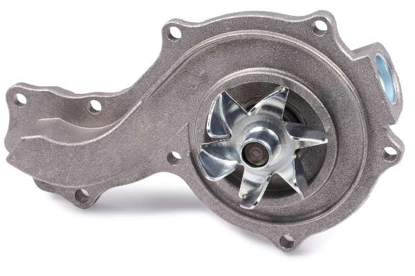 P514 (2)