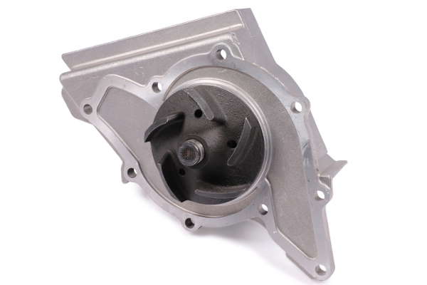 P539 (2)