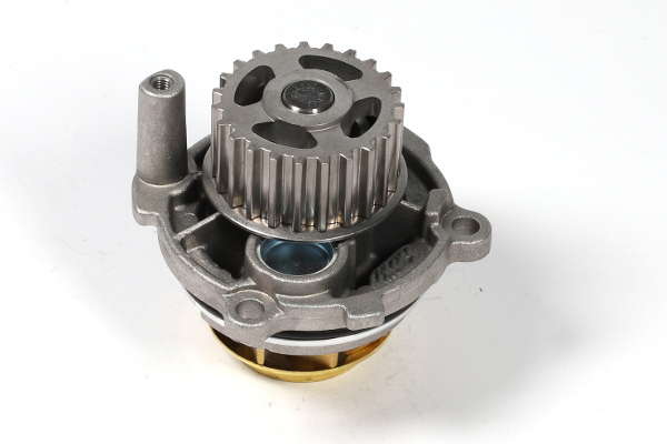 P545 (2)
