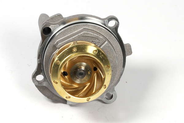 P545 (3)