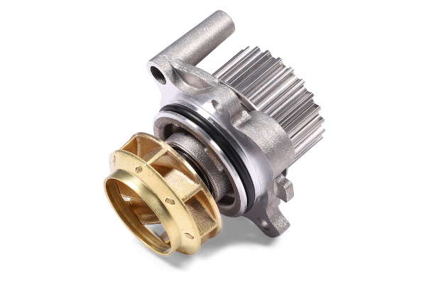 P547 (2)