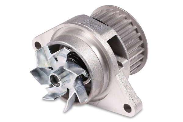 P556 (2)