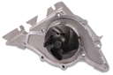 P560 (2)